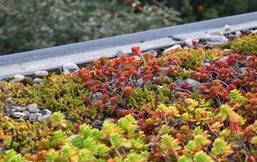 the cost of Chavenage Green green roof installation