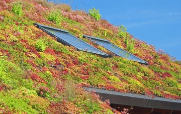 Chavenage Green living roof systems